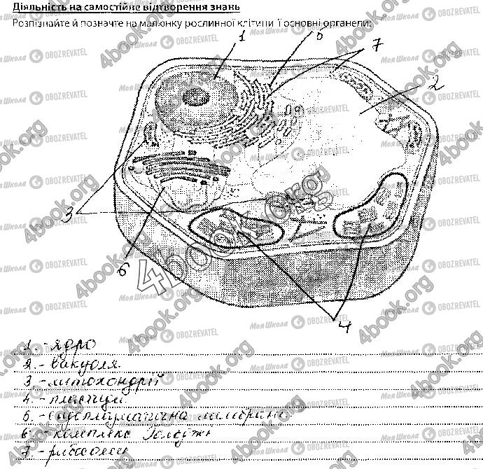 ГДЗ Биология 6 класс страница Стр.15